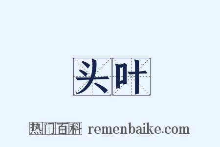 头叶是什么意思的图片